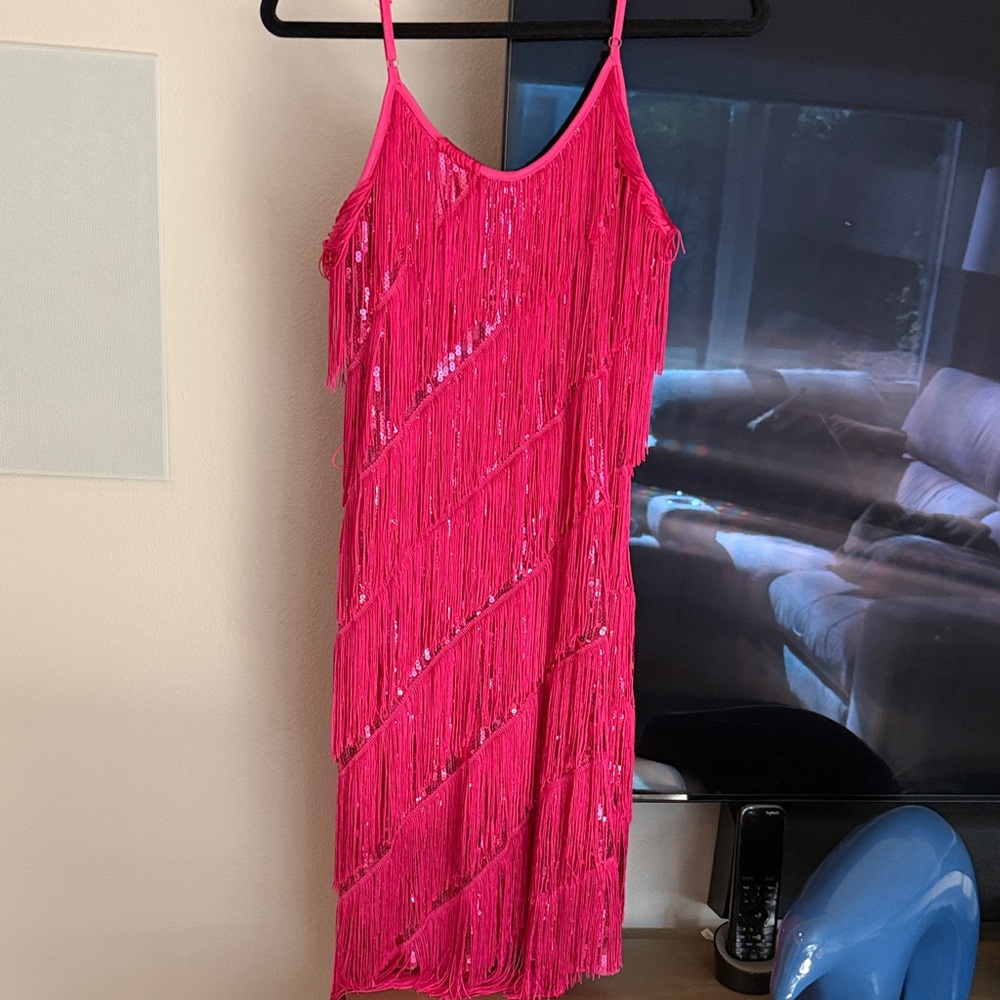 Hor Pink Fringe Dress flapper costume xl